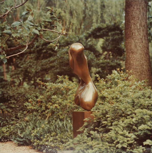 Jean Arp, Torso. Photograph taken in The Wurtzburger Sculpture Garden (original site, Timberlane) - Image 2