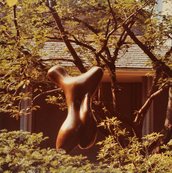 Jean Arp, Torso. Photograph taken in The Wurtzburger Sculpture Garden (original site, Timberlane) - Image 4