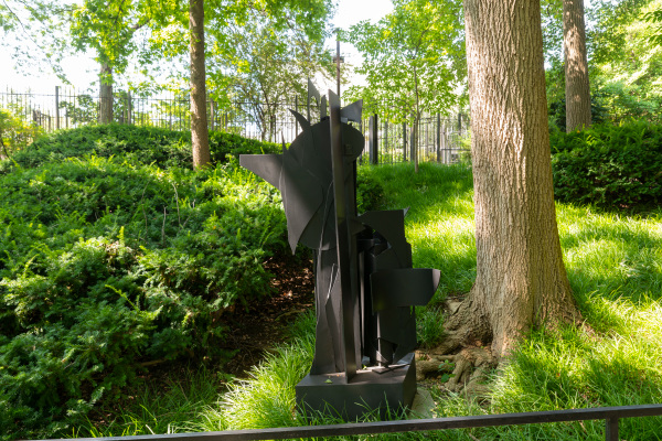 Seventh Decade Forest - Image 16