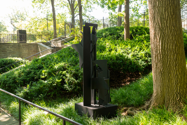 Seventh Decade Forest - Image 13