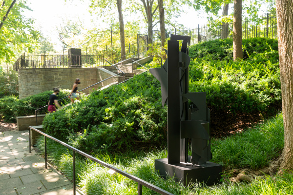 Seventh Decade Forest - Image 12