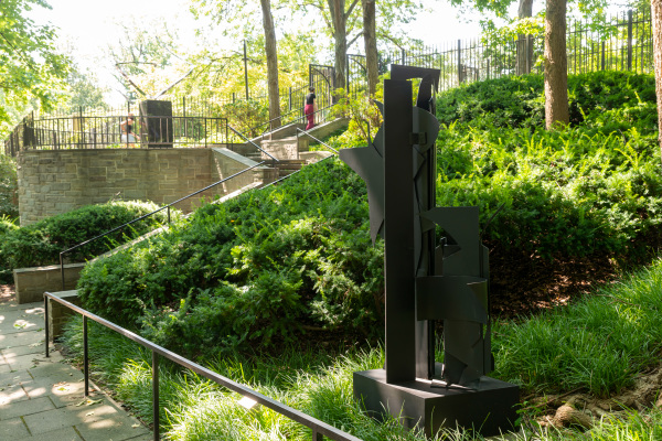 Seventh Decade Forest - Image 9