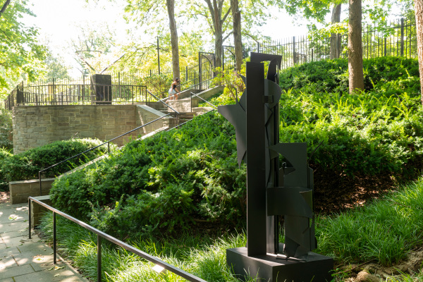 Seventh Decade Forest - Image 8