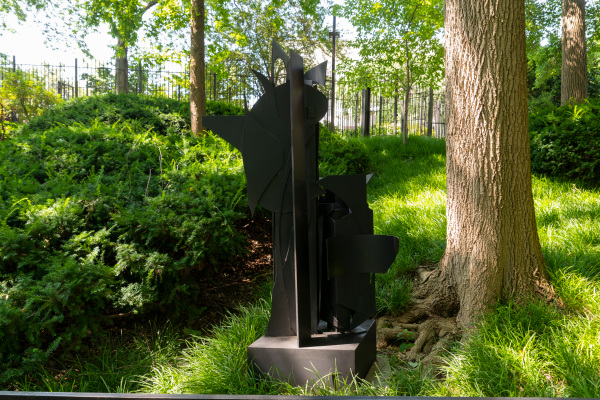 Seventh Decade Forest - Image 6