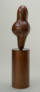 Untitled (DNA Fragment from Human Chromosome 13 carrying Mutant Rb Genes also known as Malignant Oncogenes which trigger Rapid Cancer Tumorigenesis)