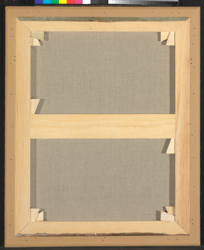 The Amazon - Image 4