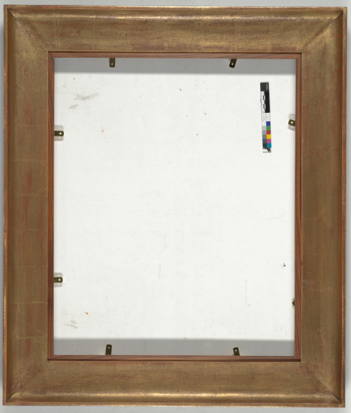 The Amazon - Image 3