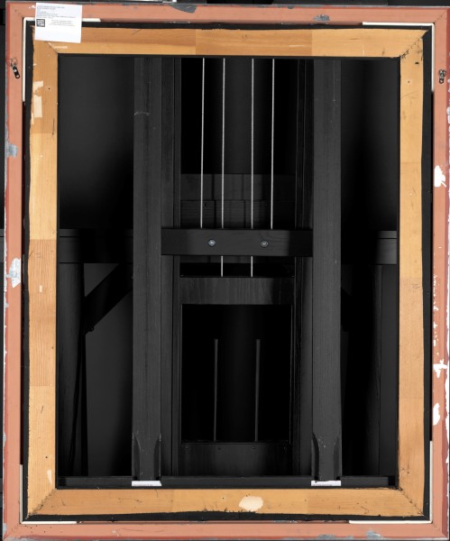 Black Parrot Tulips - Image 2