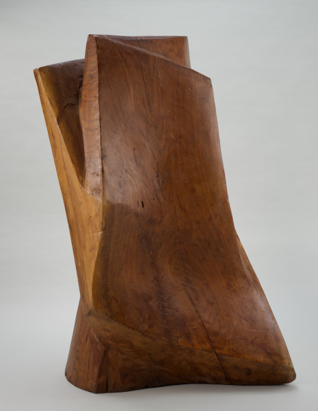 Schoharie River Poplar