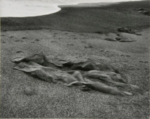 Pebble Beach, California.