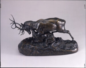 Loup tenant un cerf à la gorge