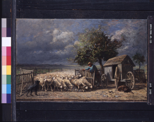 Opening the Sheepfold - Image 2