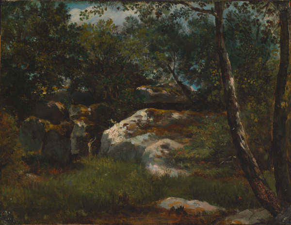 FOREST OF FONTAINEBLEAU