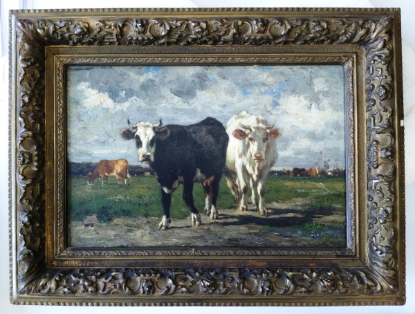 Cattle - Image 1