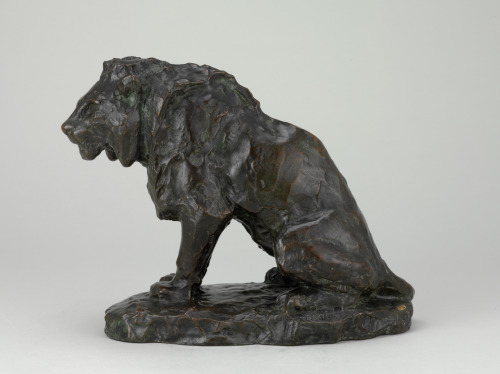 Lion assis (esquisse) - Image 5