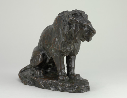 Lion assis (esquisse) - Image 3