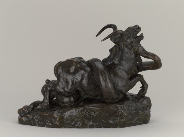 Python Seizing a Gnu by the Throat - Image 4