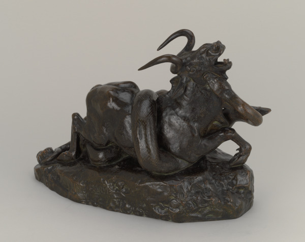 Python Seizing a Gnu by the Throat - Image 2