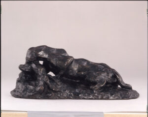 Jaguar dévorant un lièvre