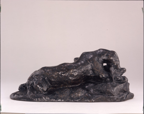 Jaguar dévorant un lièvre - Image 2