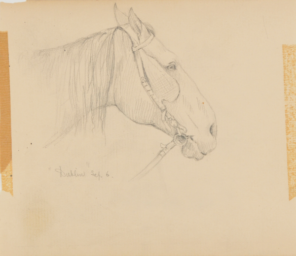 Sketch from a Camping Trip on the Lower Susquehanna in 1887 (study of a horse’s head with halter & blinders, facing right). Inscribed: ‘Dublin’ Sep. 6′ - Image 2