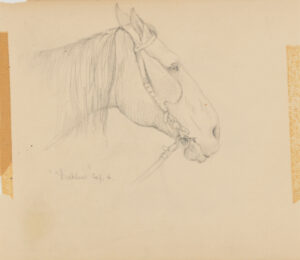 Sketch from a Camping Trip on the Lower Susquehanna in 1887 (study of a horse’s head with halter & blinders, facing right). Inscribed: ‘Dublin’ Sep. 6′