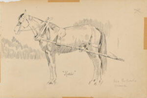 Sketch from a Camping Trip on the Lower Susquehanna in 1887 (sketch of a horse in harness, side view). Inscribed: ‘Katie/Mr. Roberts mare’