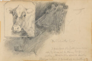 Sketch from a Camping Trip on the Lower Susquehanna in 1887 (3 studies of cow’s head). Inscribed: ‘Mr. Roberts Cow/I painted the full face cow/only to lose it to Harry Hopkins..’