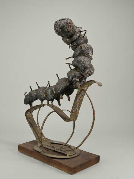 Turning Worm - Image 3