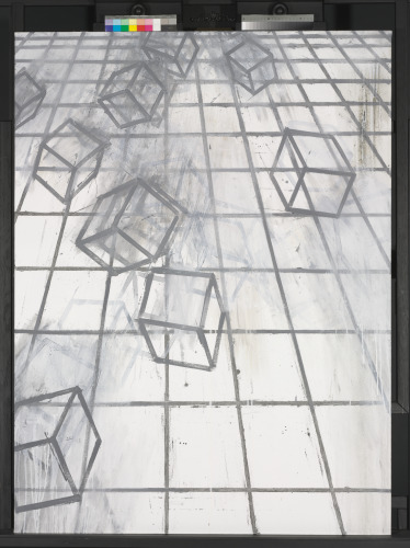 Optic Chiasma - Image 6