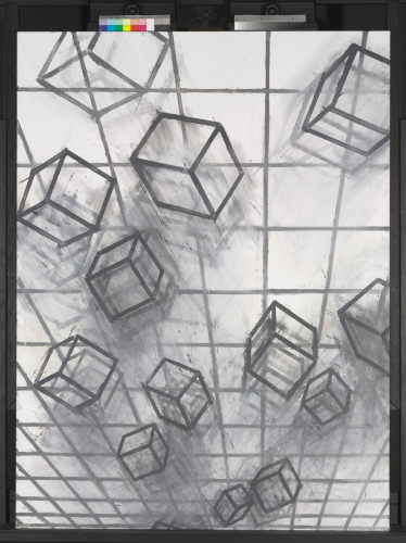 Optic Chiasma - Image 4