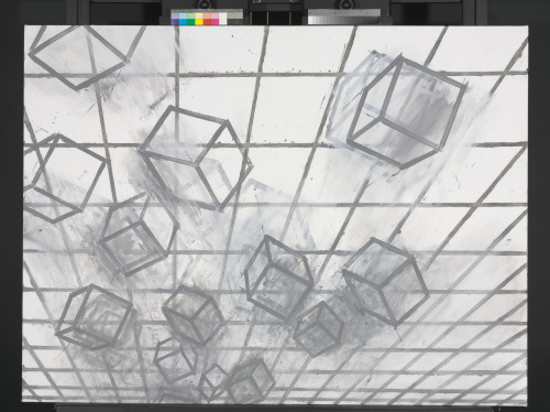 Optic Chiasma - Image 3