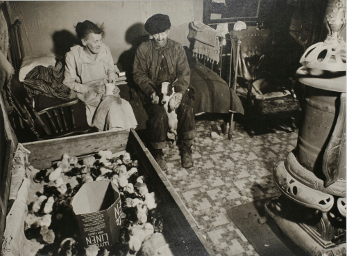 The Lowest Strata of Life in Muncie, Indiana - Image 2