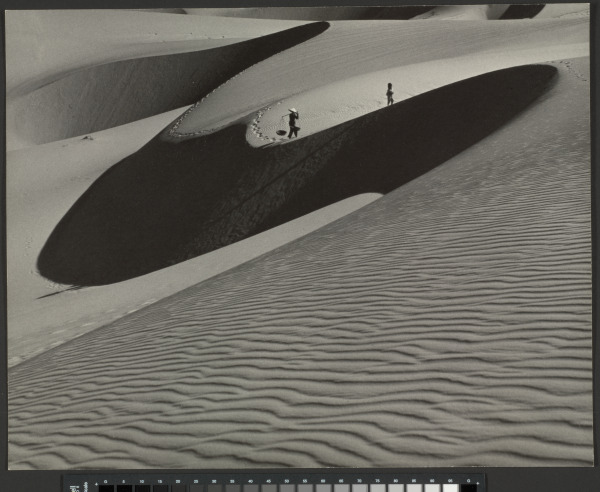 Going Home - Image 3