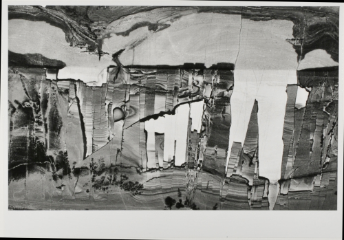 Brecciated Limestone from Italy - Image 2