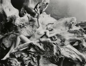 Female Nude, Driftwood (horizontal), Vancouver Island, B.C.