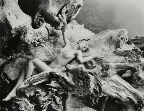 Female Nude, Driftwood (horizontal), Vancouver Island, B.C. - Image 4