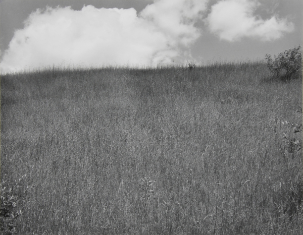 Landscape, Kalamazoo, Michigan. - Image 3