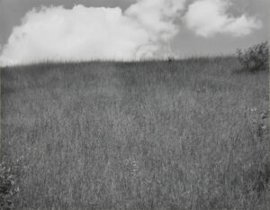 Landscape, Kalamazoo, Michigan.