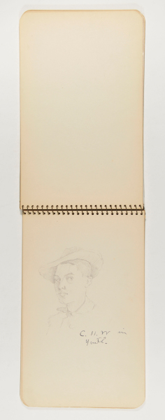 Sketchbook with 18 Drawings. (Scenes of family and friends in summer camp). - Image 65