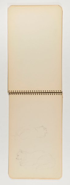 Sketchbook with 18 Drawings. (Scenes of family and friends in summer camp). - Image 61