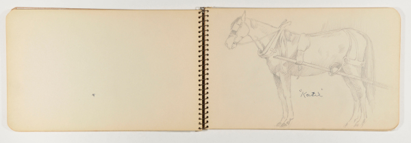 Sketchbook with 18 Drawings. (Scenes of family and friends in summer camp). - Image 22