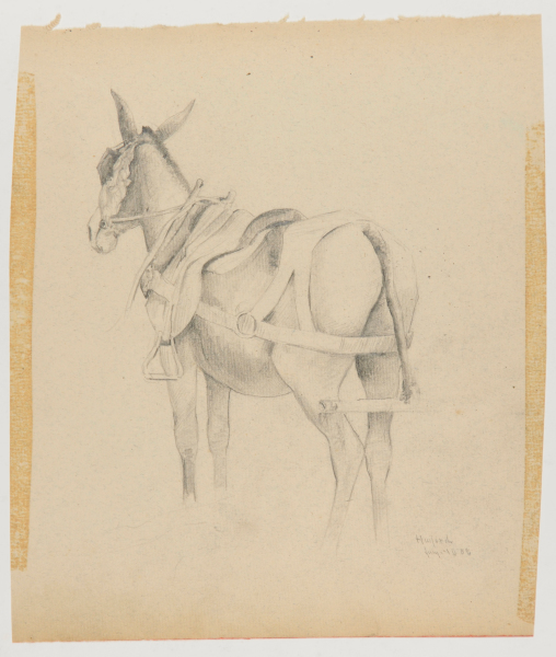 Sketch from a Camping Trip on the Lower Susquehanna in 1887? (study of a mule, in harness and saddle). Inscribed: ‘Hailord/July 10 88.’ - Image 4