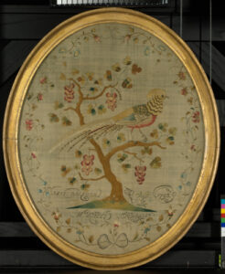 Golden Pheasant Perched in Berry Bush