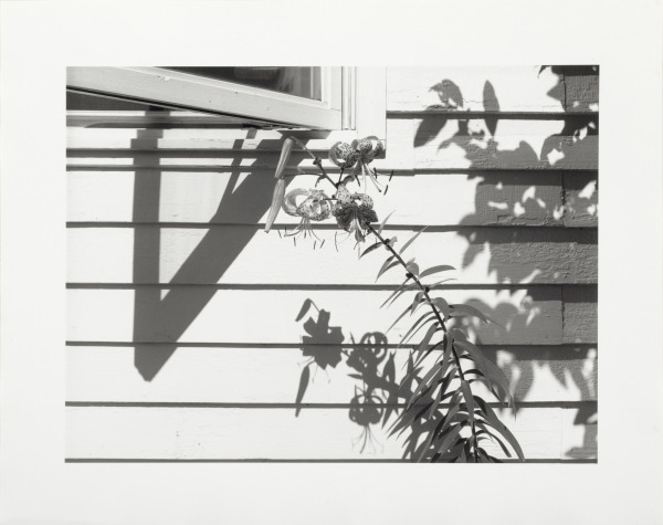 Polidoro da Caravaggio [Polidoro Caldara]