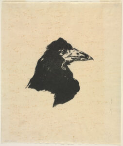 Raven’s Head in Profile