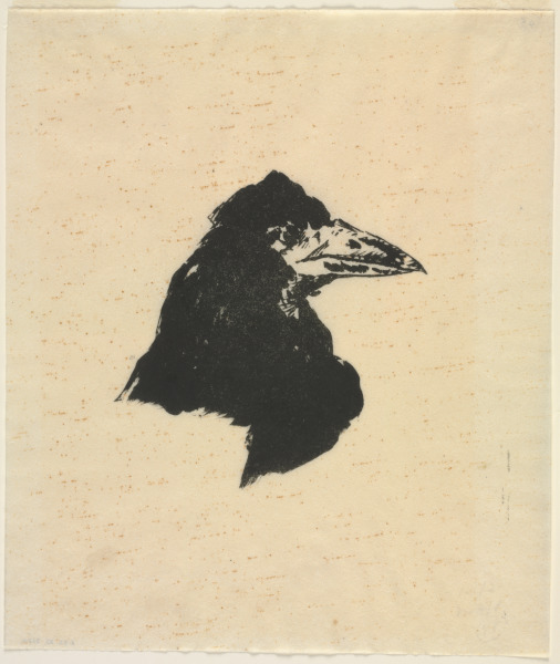 Raven’s Head in Profile