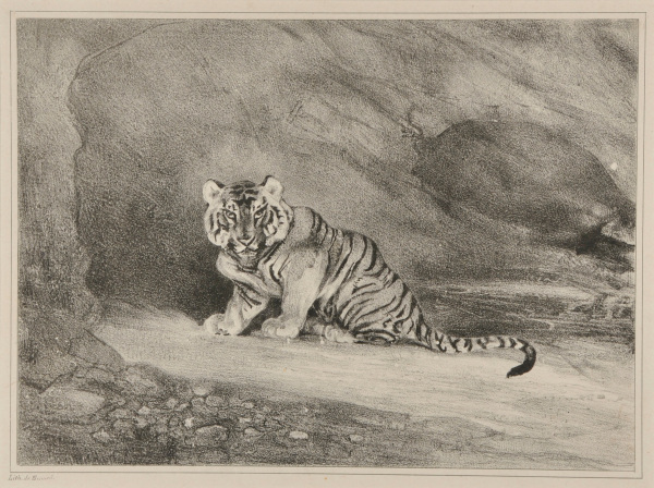 Tigre à l’entrée de son antre