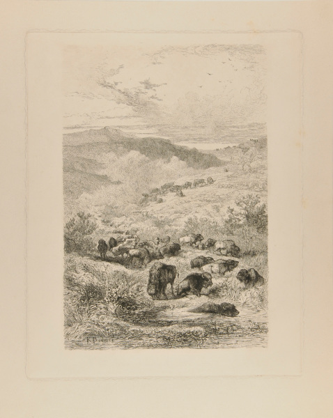 HERDS OF BISONS AND ELKS ON THE UPPER MISSOURI