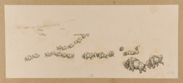 From the series “Travels in the Interior of North America, 1832-1834”